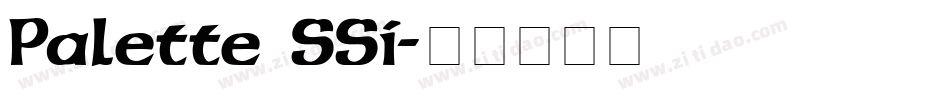 Palette SSi字体转换